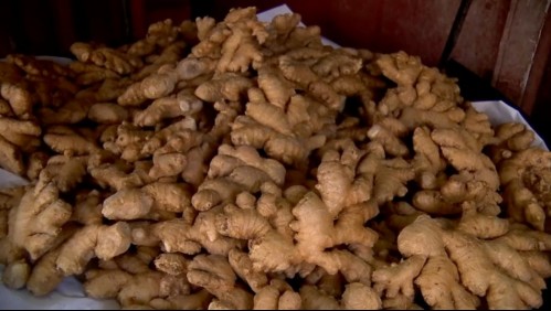 El jengibre: La raíz con propiedades analgésicas y antivirales