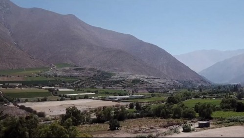 Valle del Elqui: El ingenio de los emprendedores durante la pandemia