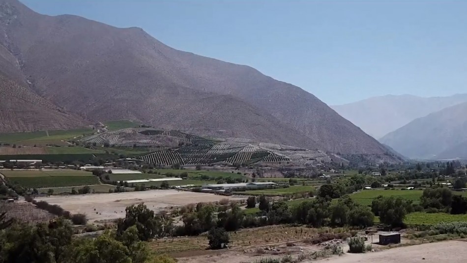 Valle del Elqui Valle del Elqui: El ingenio de los emprendedores durante la pandemia