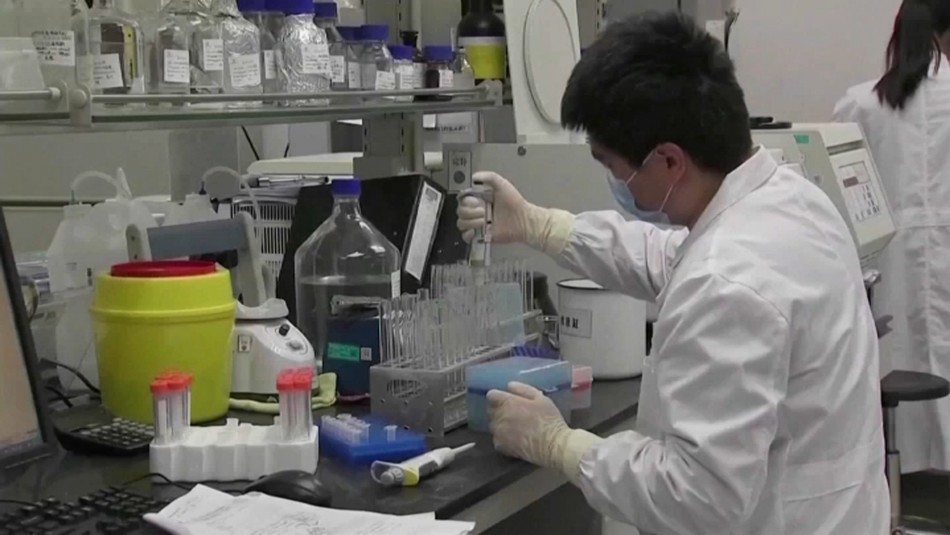 Chile podría fabricar vacunas contra el coronavirus en el sur Chile podría fabricar vacunas contra el coronavirus en el sur