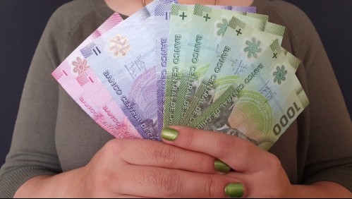 Bono de Protección 2021: Cómo acceder al beneficio prioritario para dueñas de casa