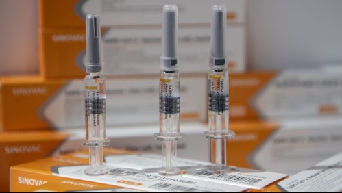Vacuna de Sinovac llegará a Chile a partir del 23 o 24 de enero