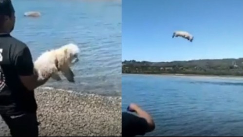 Identifican a hombre que lanzó perro al mar: Será formalizado por maltrato animal