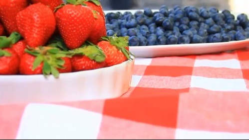 Súperalimentos: Conoce las propiedades para proteger la salud cerebral de los frutos rojos