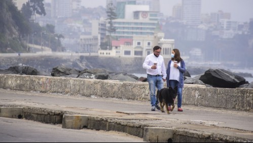 Plan Paso a Paso Fase 4: Lo que se puede hacer en la etapa de Apertura