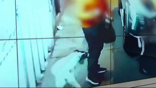 Perro callejero habría sido adiestrado por sujetos para atacar a víctimas de violento robo