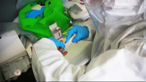 Cepa británica de coronavirus llegó a la RM: Cuatro personas de La Pintana están contagiadas