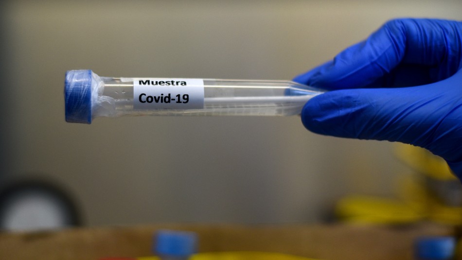 Cepa británica de coronavirus: Confirman 15 casos en Chile Cepa británica de coronavirus: Confirman 15 casos en Chile