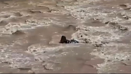 Asaltante se lanza al río Mapocho para evitar ser detenido por Carabineros