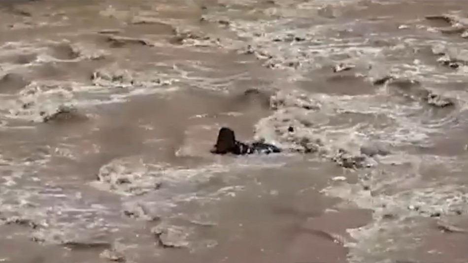 Sujeto en el río Mapocho Asaltante se lanza al río Mapocho para evitar ser detenido por Carabineros