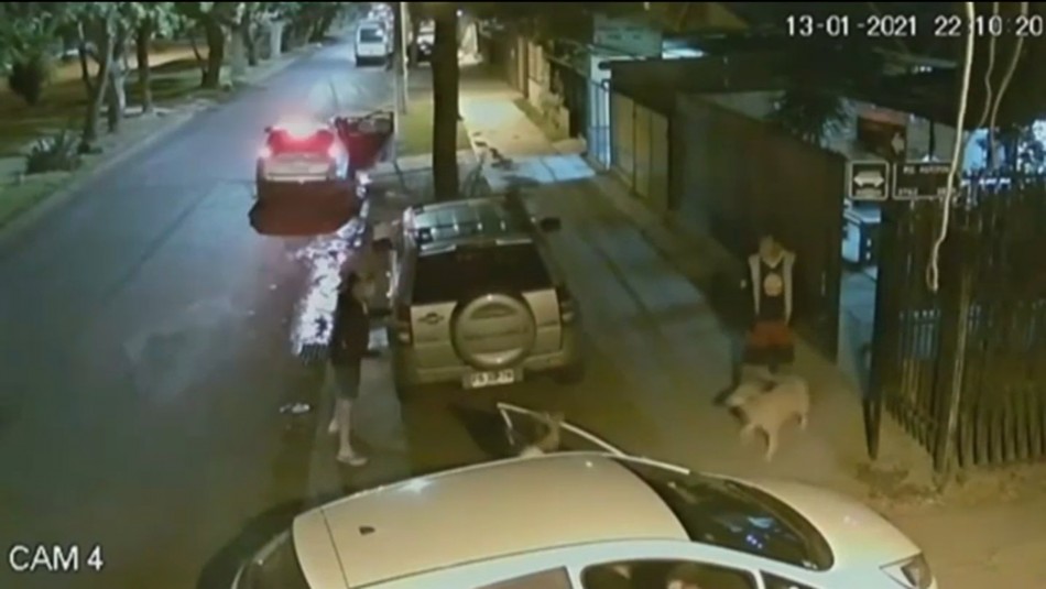 portonazo maipu Así fue el violento portonazo en Maipú donde se robaron también a la mascota de la familia