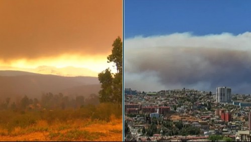 'Esto se está escapando de las manos': Preocupación por gran incendio forestal en Valparaíso