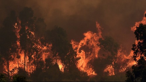 Imágenes aéreas muestran magnitud del catastrófico incendio en Quilpué