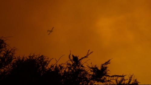 Incendios forestales en Quilpué han consumido más de 2.000 hectáreas y destruido 10 casas