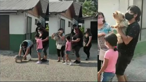 ¡Encontraron a Moisés! Familia se reúne con su perrito robado en portonazo en Maipú