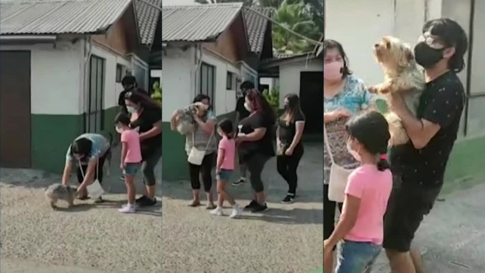 ¡Encontraron a Moisés! Familia se reúne con su perrito robado en portonazo en Maipú ¡Encontraron a Moisés! Familia se reúne con su perrito robado en portonazo en Maipú