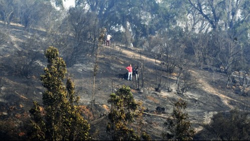 'El panorama es desolador': Ministro Delgado reitera 'intencionalidad' de incendios forestales