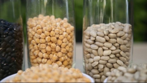 Súperalimentos: Conoce los beneficios que tienen las legumbres para la salud