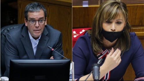 Diputada Loreto Carvajal asumirá en reemplazo de Felipe Harboe en el Senado