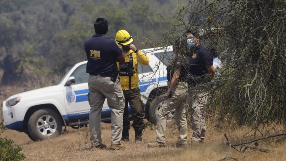 Incendios forestales en región de Valparaíso Decretan prisión preventiva para hombre acusado de provocar incendio en Casablanca
