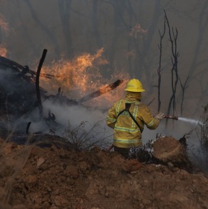 Realizan evacuación en comuna de Nacimiento por incendio forestal que amenaza casas del sector Realizan evacuación en comuna de Nacimiento por incendio forestal que amenaza casas del sector