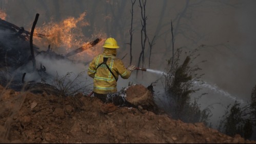 Realizan evacuación en comuna de Nacimiento por incendio forestal que amenaza casas del sector