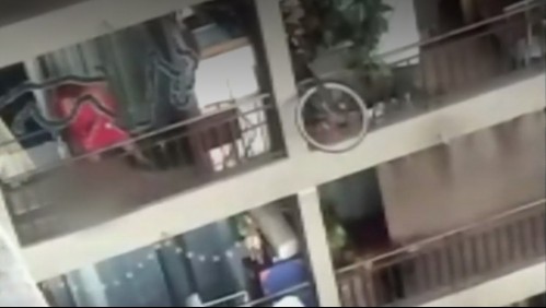 Revelan maltrato animal en Santiago: pareja golpeaba a su perro y se dieron a la fuga con él