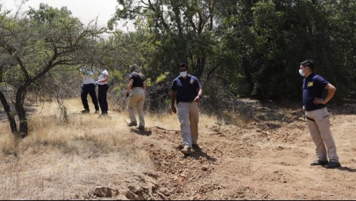 Adulta mayor de 73 años muere tras ser golpeada por árbol que estaba talando junto a su esposo