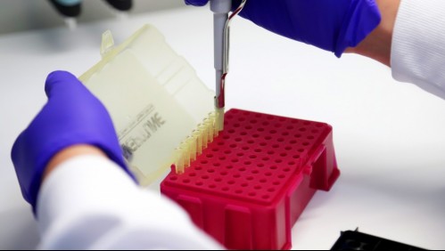 Las 16 comunas que están libres de casos activos de coronavirus en el país