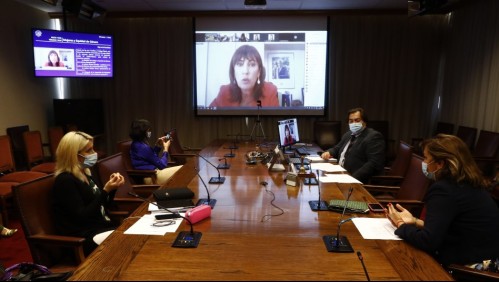 Ministra Zalaquett y proyecto que despenaliza aborto: 'Este Gobierno protegerá la vida siempre'