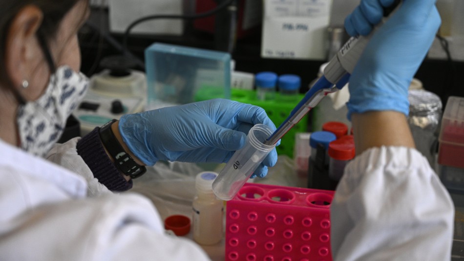 Imagen referencial de archivo Variante británica del coronavirus estaría asociada
