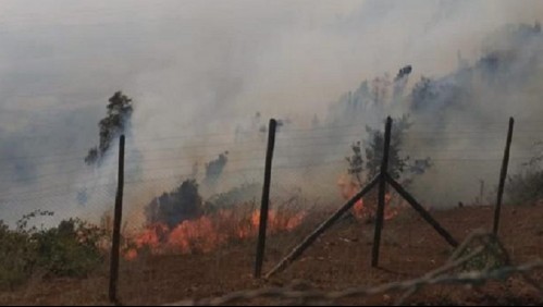 Se emitió alerta SAE: Onemi llama a evacuar zona de región de la Araucanía por incendio forestal