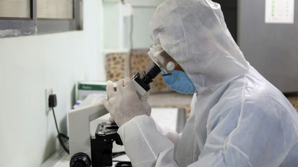 Rusia muestra por primera vez cómo luce la variante británica del coronavirus Rusia muestra por primera vez cómo luce la variante británica del coronavirus