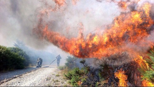 Se emite alerta SAE: Onemi solicita evacuar sector de la comuna de San Fernando por incendio
