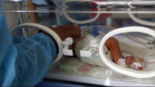 'Superfecundación heteropaternal': investigan nacimiento de mellizos con padres diferentes