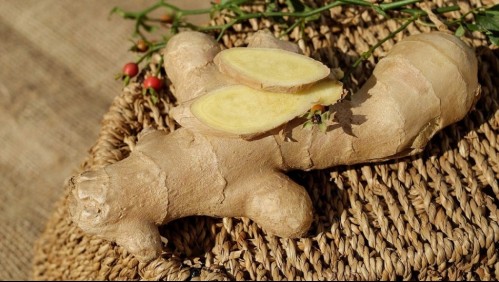 Cinco beneficios del jengibre: Conoce el poder de esta raíz milenaria