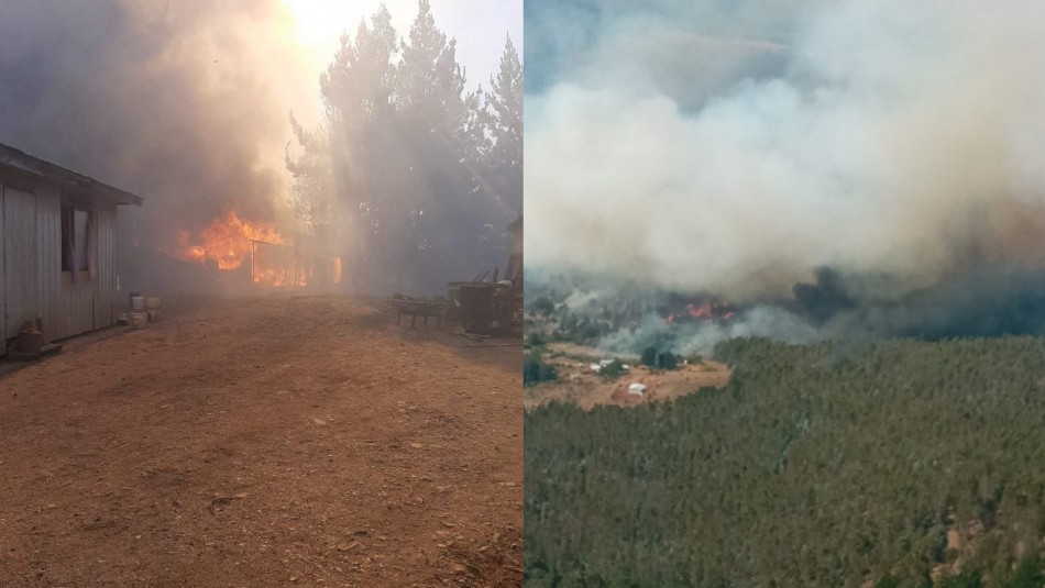 Incendio Lumaco Al menos tres viviendas han sido consumidas por incendio forestal en Lumaco
