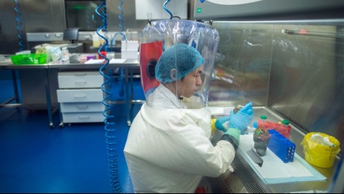 OMS descarta que coronavirus se haya 'escapado' de un laboratorio tras visita a China
