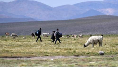 Refuerzo de control migratorio chileno tendrá la expulsión como principal medida