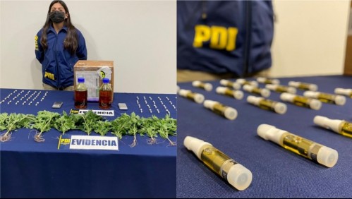 PDI incauta cargamento de botellas con resina de marihuana proveniente de Estados Unidos