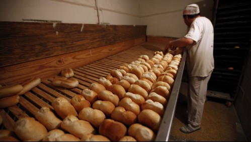 Panaderos y conductores piden ser vacunados a la brevedad por ser trabajadores esenciales