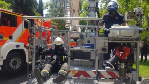 Bomberos rescatan a gata desde un árbol: Estaba a más de 25 metros de altura
