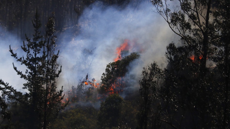 declaran-alerta-roja-por-incendio-forestal-en-comuna-de-cholchol_327870_2_603183da59b1d.jpg