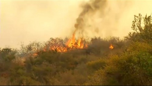 Tres detenidos por incendio forestal en Curacaví: Estaban haciendo un asado