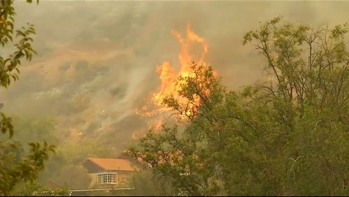 Incendio en Curacaví: Onemi descarta peligro de propagación a viviendas