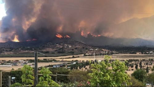 Incendio forestal se registra en comuna de Curacaví: Onemi declara Alerta Roja