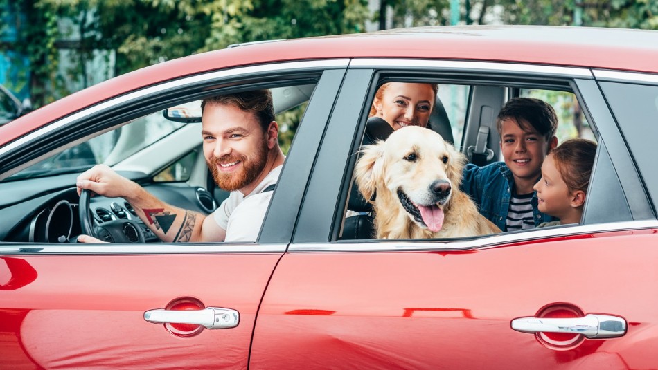 SOAP de Seguros SURA: ¿Qué cubre y a quiénes protege?