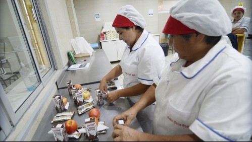 Canasta Junaeb 2021: Estos son los alimentos que trae la caja de marzo