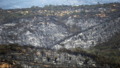 Siete brigadistas forestales fueron acusados de provocar incendios