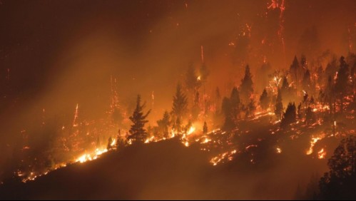 Se quema la Patagonia argentina: 7 heridos, 15 desaparecidos y 200 evacuados por los incendios